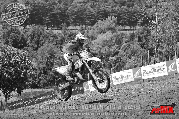 _DSC0991 (Copy).jpg